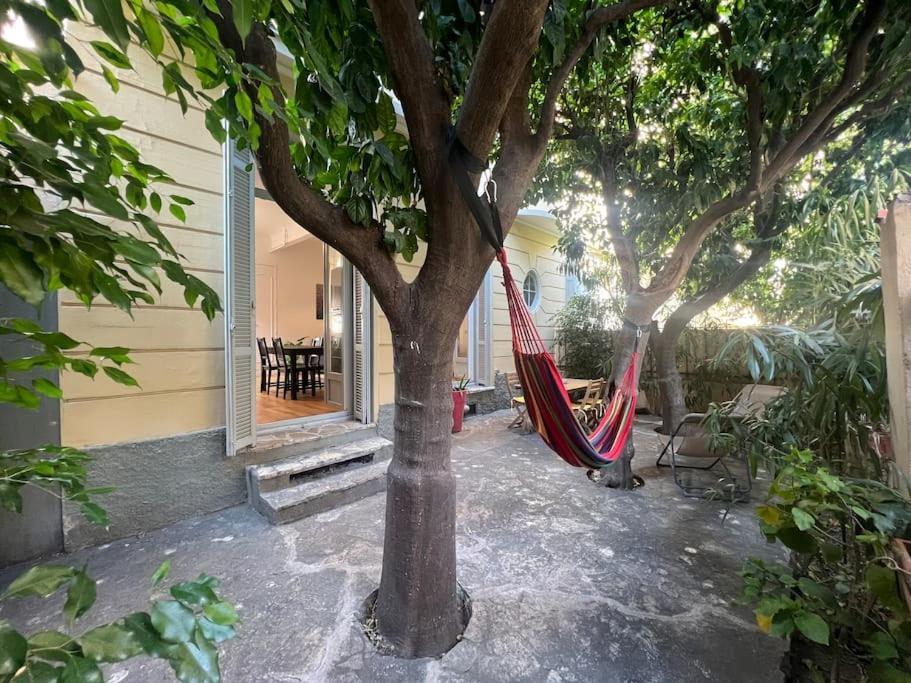 Apartamento Les Orangers - 3 Pieces Avec Terrasse Arboree *